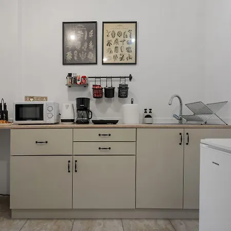 Casa Alba- Oaza Urbana Cu Gradina Privata * Βουκουρέστι