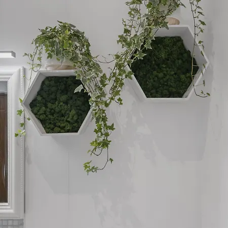 Casa Alba- Oaza Urbana Cu Gradina Privata Διαμέρισμα